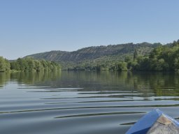 Mainschwimmen Juni 2026
